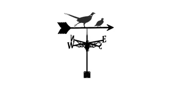 Girouette en métal "faisan" 4 points cardinaux 30x100 cm Neuf