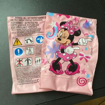 Brassard Disney