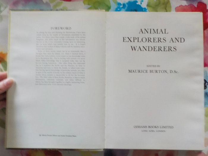 Animal explorers and wanderers Animal world in colour M. Burton - photo numéro 5