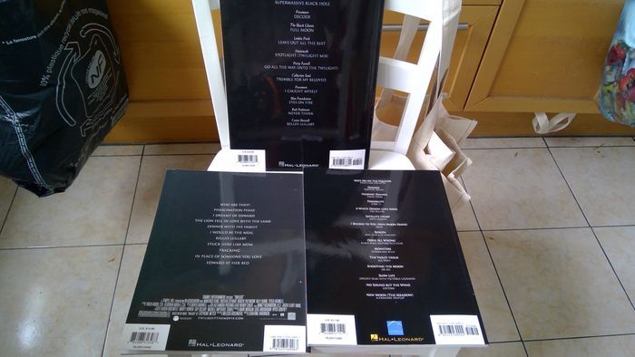 15€ Twilight saga piano, voix, guitare - photo numéro 2
