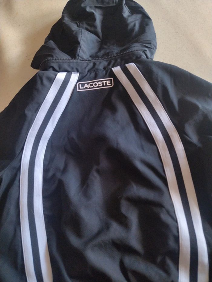 Jogging Lacoste véritable. Taille 4 ans.( 104 cm ) - photo numéro 6