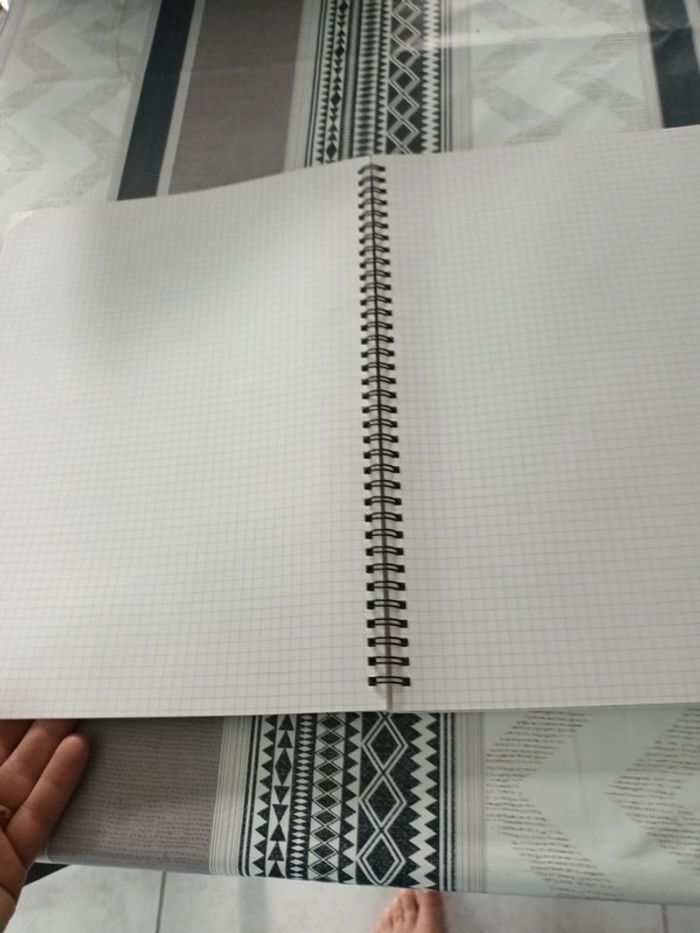 Cahier spiral 24x32 - photo numéro 3