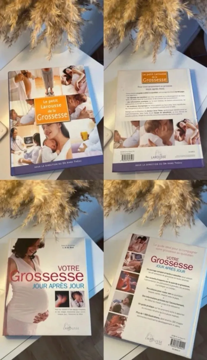 Lot livres grossesse