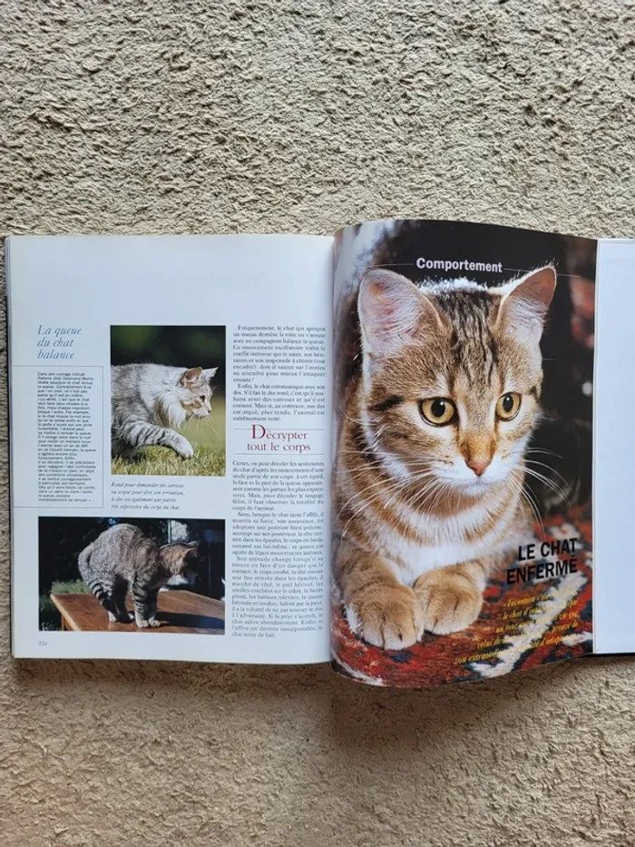 Livre "Les chats, comportement et caractères" - Éditions Atlas - photo numéro 12