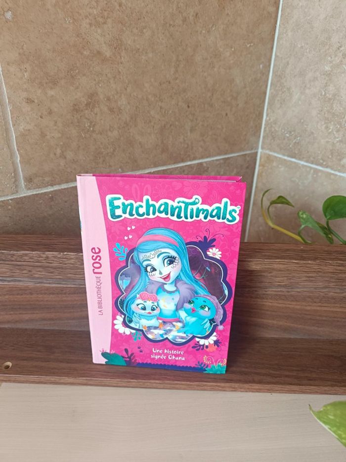 Livre enchantimals - photo numéro 2