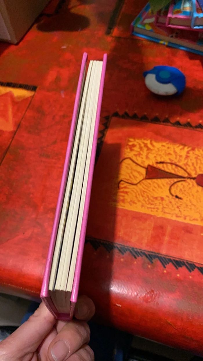 Livre barbie - photo numéro 2