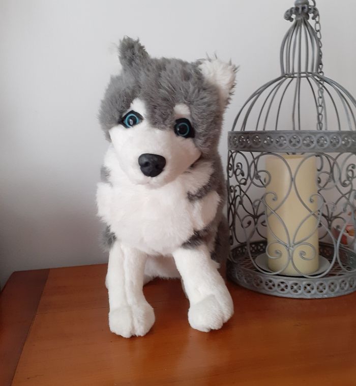 Peluche Husky *31 cm