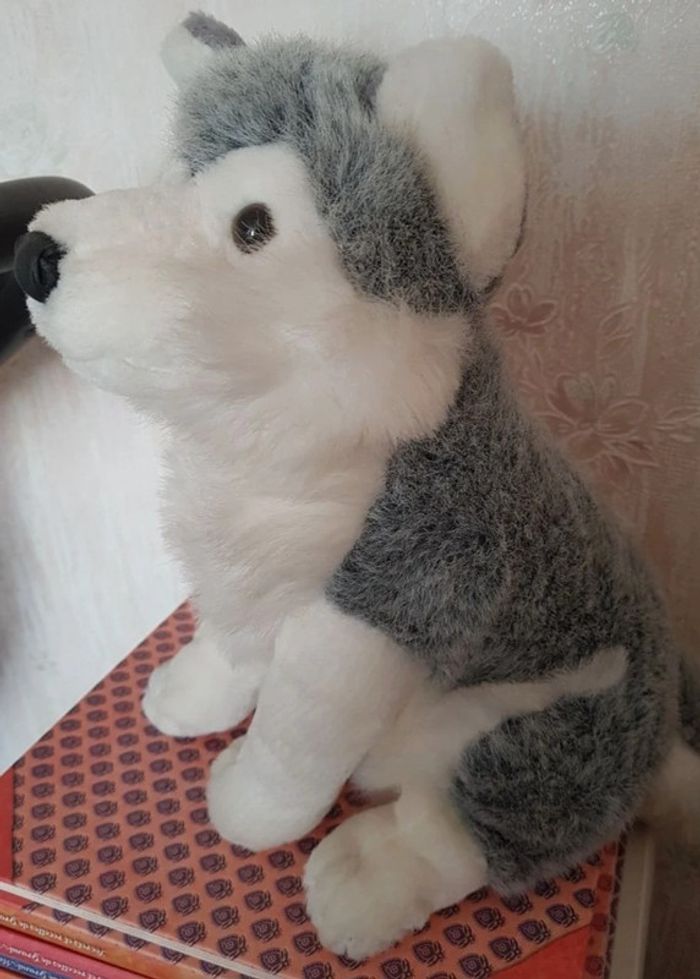 Peluche chien husky - photo numéro 4