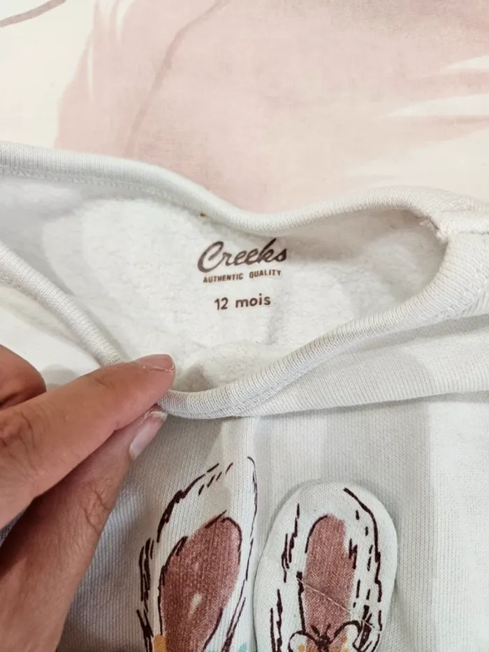 Pull 12 mois, Creeks - photo numéro 3