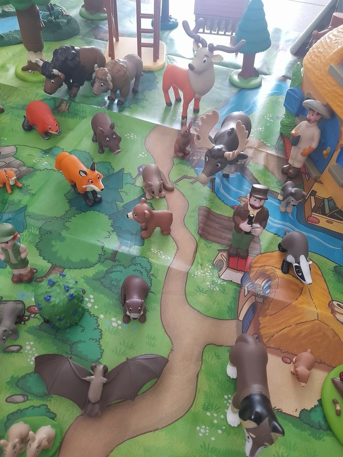 Lot exceptionnel les animaux de la forêt - photo numéro 4