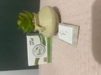 Trextea