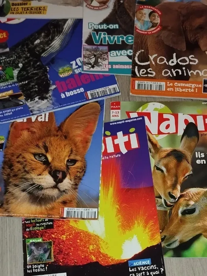 Lot de 7 magazines Wapiti année 2010-11-12-13 L028 - photo numéro 8