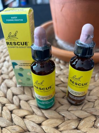 Lot 2 flacons Fleurs de Bach – Compte‑gouttes – Sans alcool – Neuf