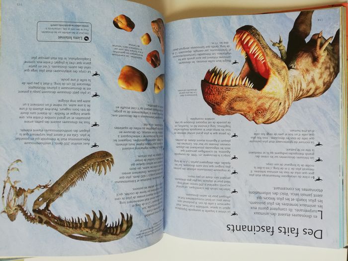 le grand livre des dinosaures - photo numéro 7