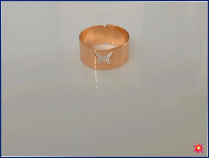 Bague dorée en acier inoxydable