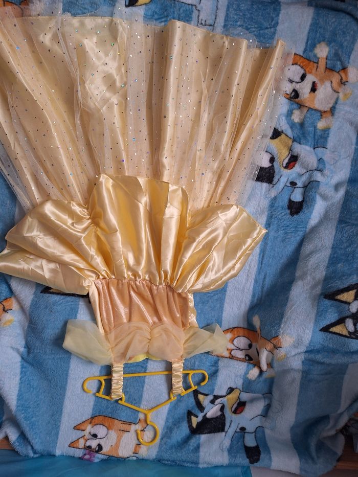 Robe Belle - photo numéro 3