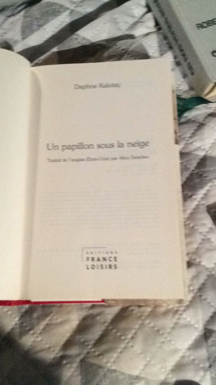 #un Papillon sous la neige par Daphnė Kalotay - photo numéro 6