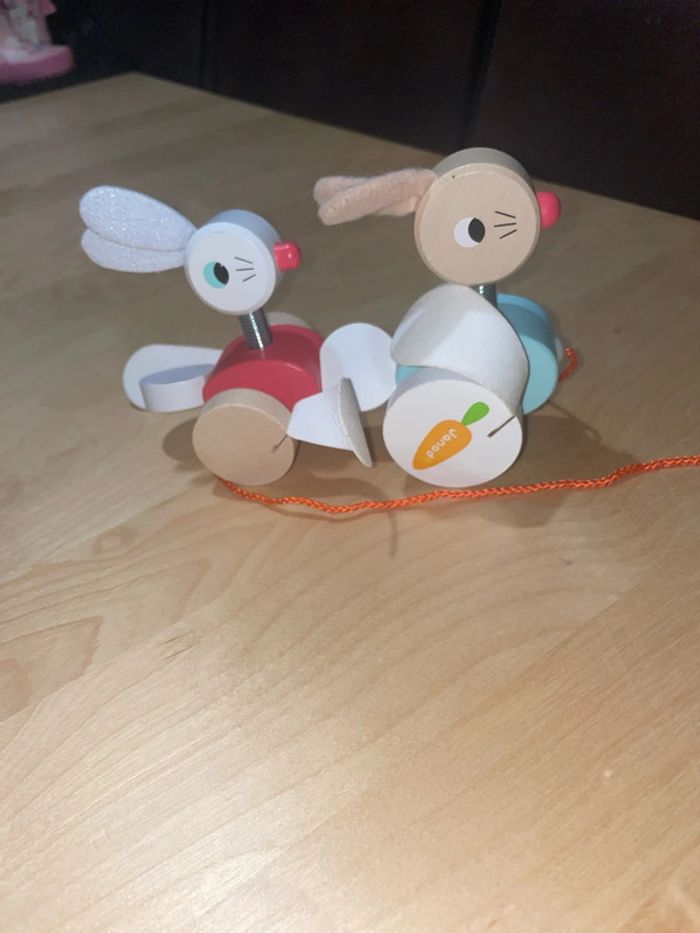 Lapin Janod