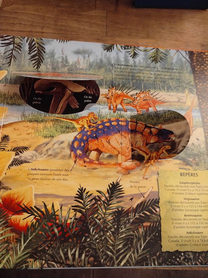 La vie des dinosaures avec loupe - photo numéro 3