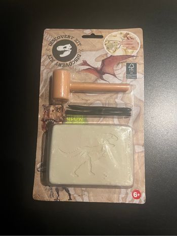 Petit kit de découverte archéologie dinosaures