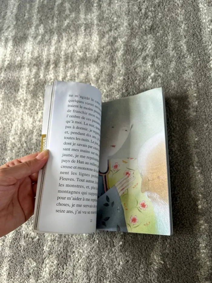 Roman « comment wang-fô fut sauvé » - photo numéro 5