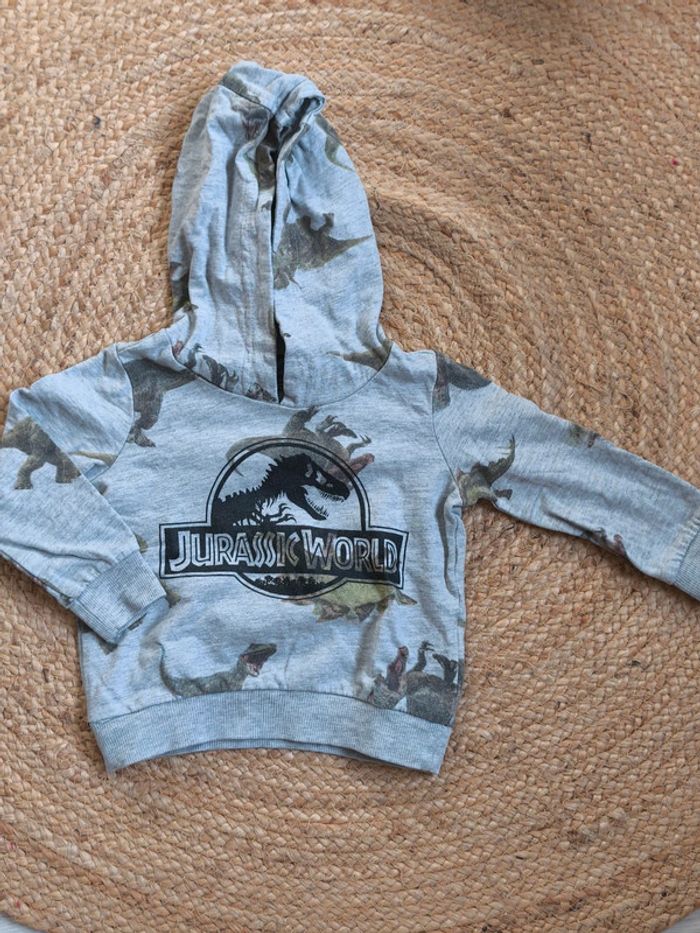 Sweat 2 ans - photo numéro 2