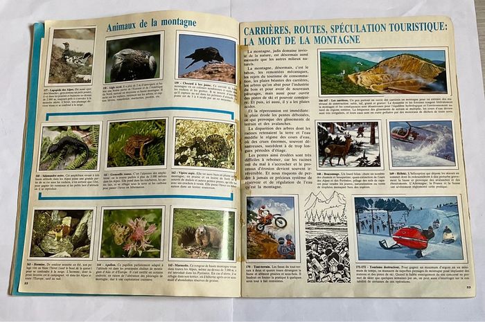 Album Panini WWF vintage - photo numéro 4