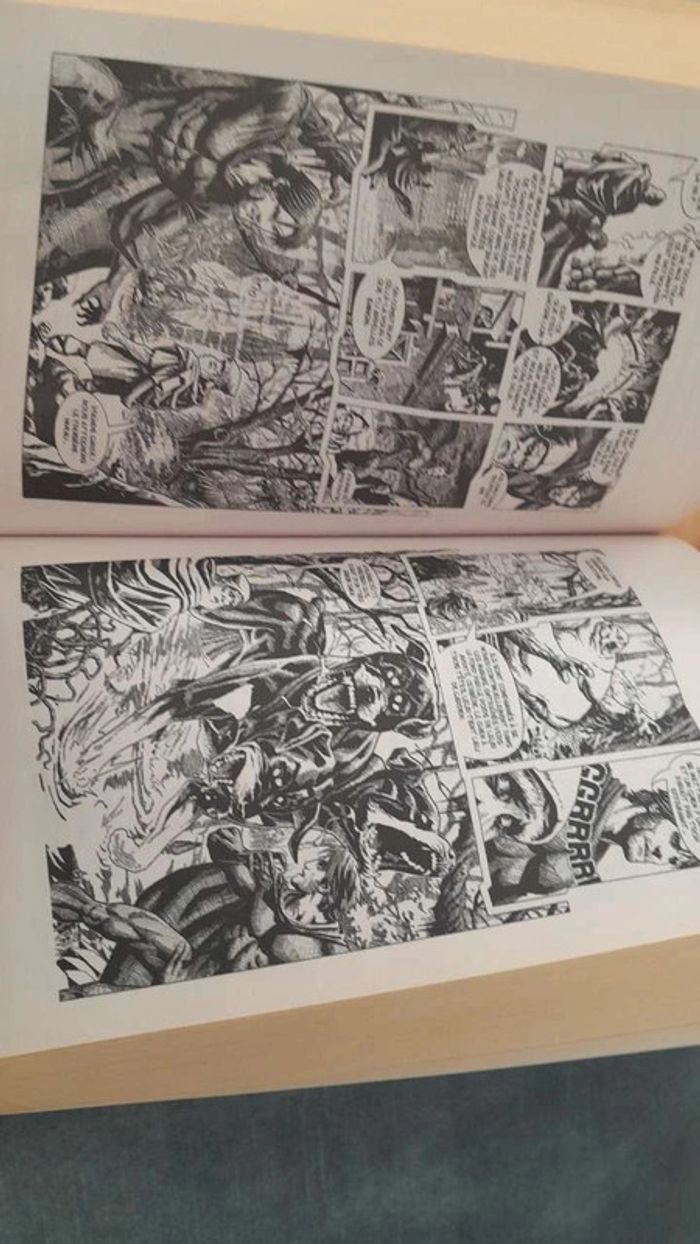 Livre - photo numéro 3