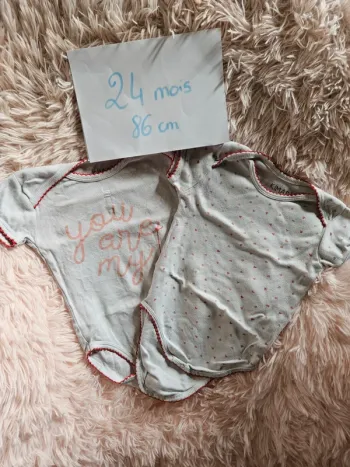 Lot 2 body