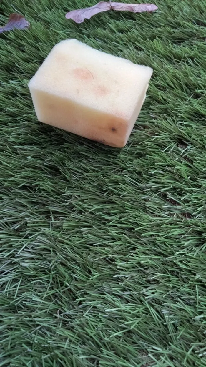 Éponge à neutraliser - photo numéro 3