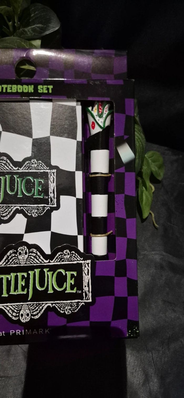 Cahier er stylo beetlejuice - photo numéro 3