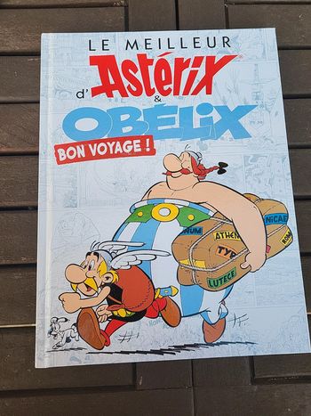 Livre asterix