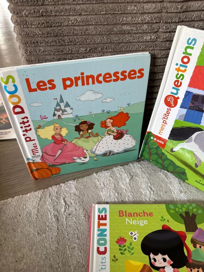 Lot livres pour enfants - photo numéro 4