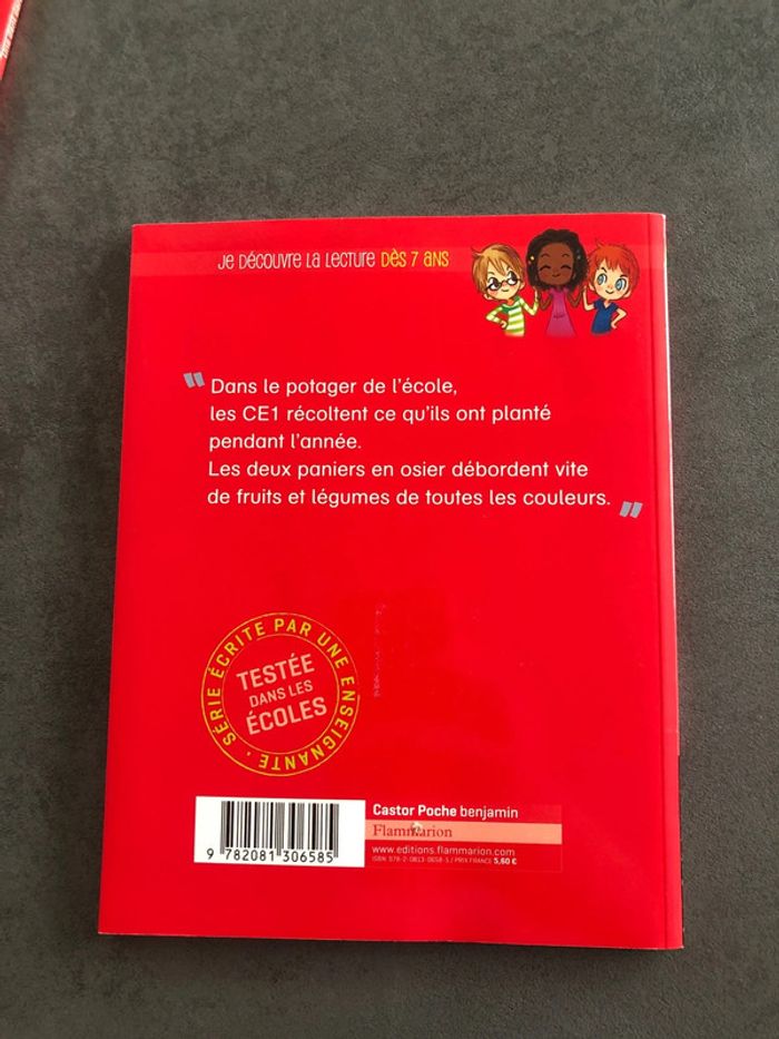 Livres CE1 - photo numéro 10