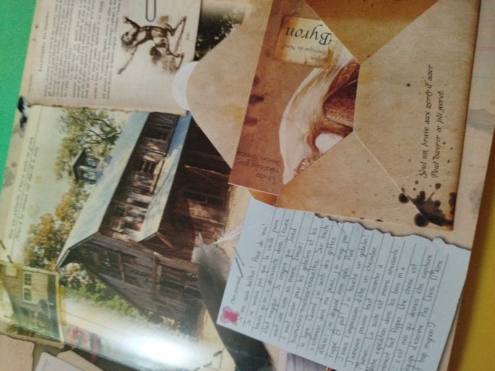 Les Chroniques de Spiderwick : Un voyage avec Chafouin  - Rare - photo numéro 6