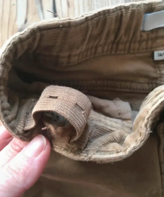 Lot 3 ans, 3 pantalons, 2 t shirts manches longues et un manche courte, un sweat - photo numéro 15