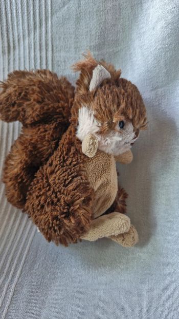 Peluche écureuil bukowski