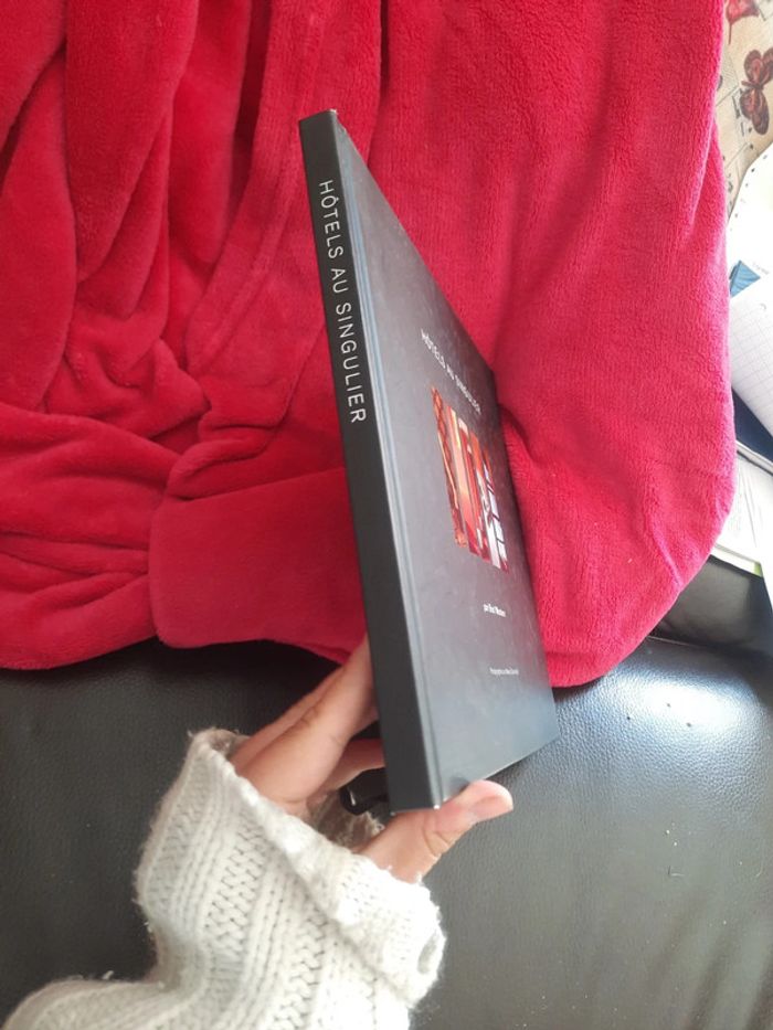 Livre hôtel au singulier p o - photo numéro 2