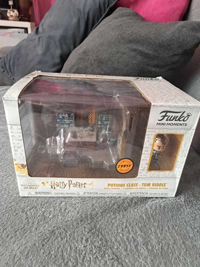 Potions class tom riddle