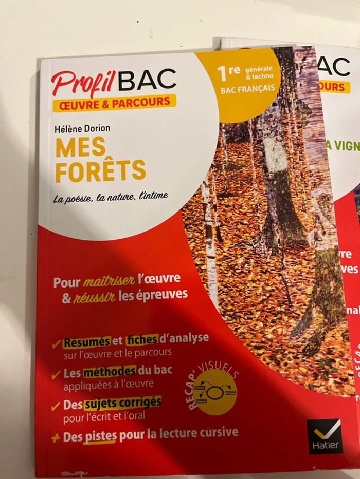 Profil bac - photo numéro 2