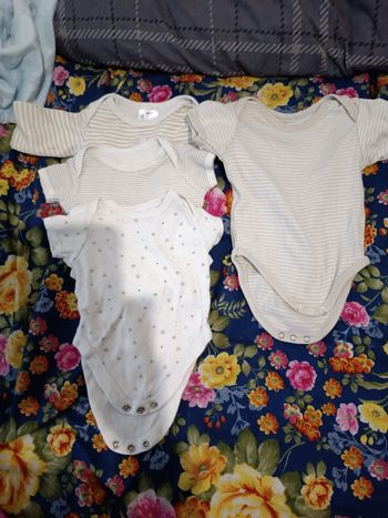 Lot de 4 body 50-56 cm
