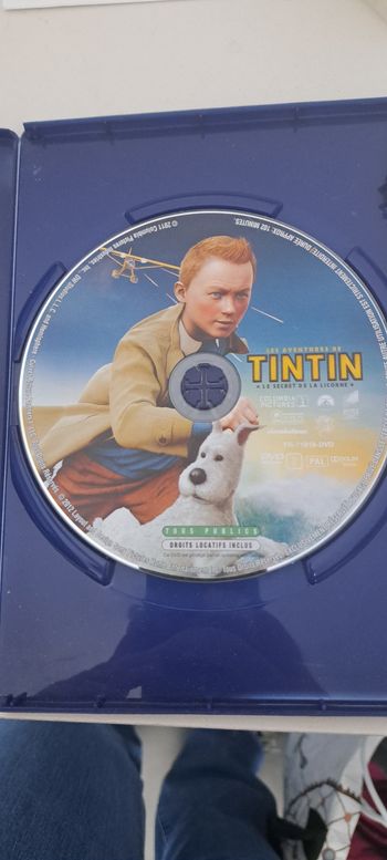 Dvd tintin 