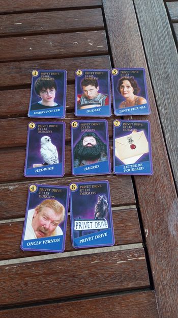Famille Harry Potter