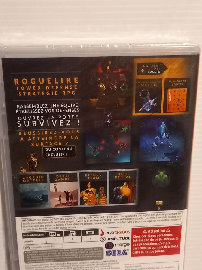 Switch dungeon endless - photo numéro 5