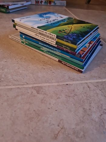 Lot de 9 livres enfants