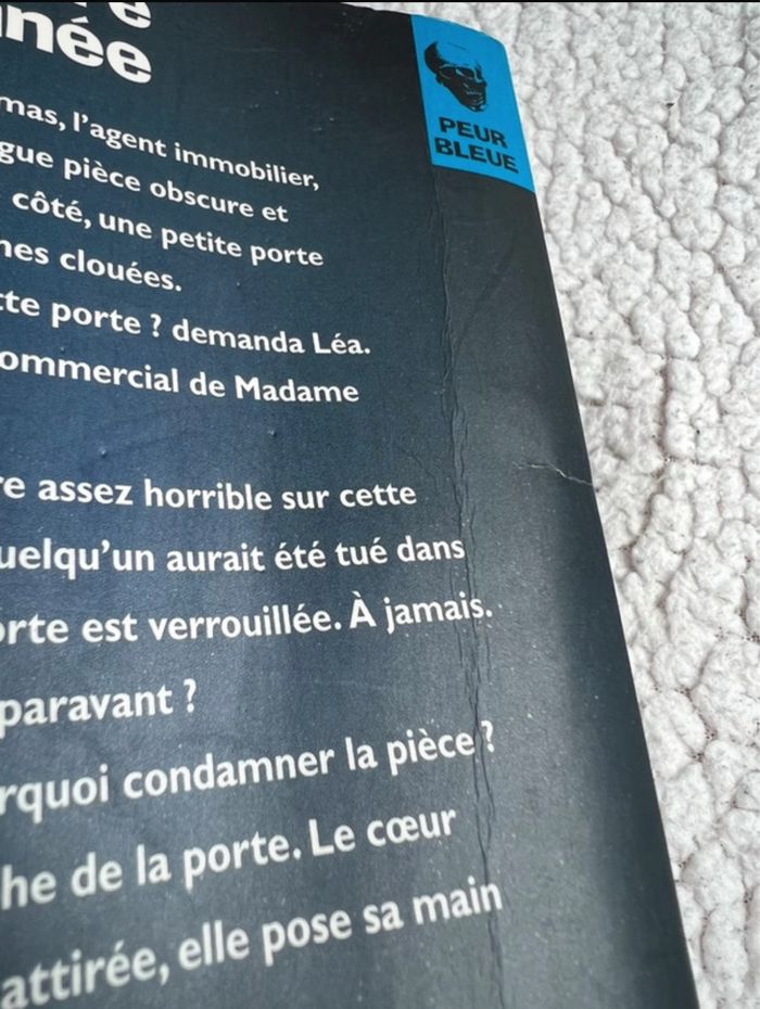 La chambre condamnée de R.L. Stine - photo numéro 5
