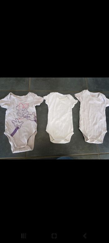 Lot 3 bodys 6 mois