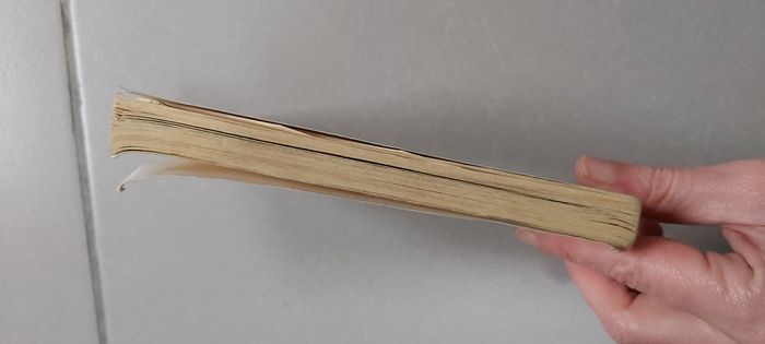 L'appel de la forêt - photo numéro 4