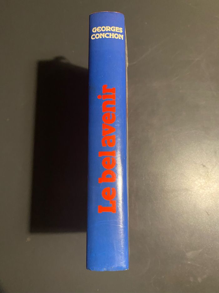 Livre politique - photo numéro 2