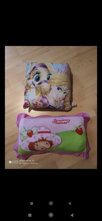 Lot coussins raiponce charlotte aux fraises